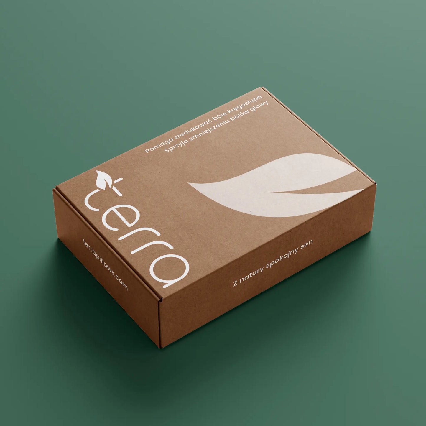 Terra oryginalna poduszka z łuską gryki 40x60 cm